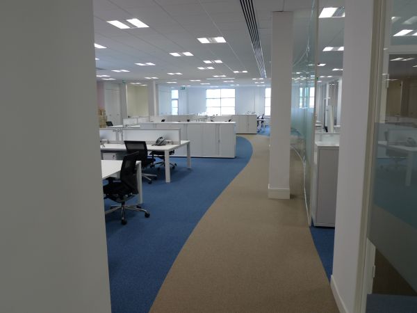 dbc_office_build_7.JPG