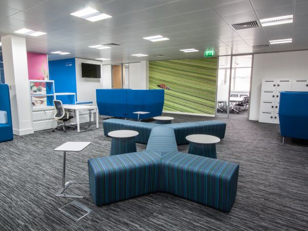 dlll office build 8.jpg